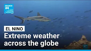What a record-breaking El Nino could mean for the world • FRANCE 24 English