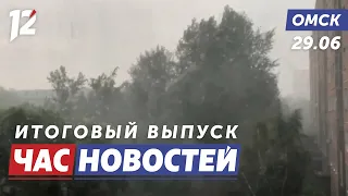 Heavy rain / Sidewalk improvements / A rare bird. Omsk News