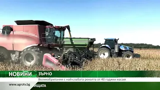 ЗЪРНО: Великобритания с най-слабата реколта от 40 години насам