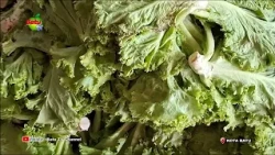 AS SEASON CHANGES, VEGETABLE PRICES START TO CREEP UP