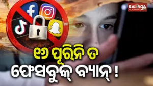 Karnataka proposes to ban social media for children under 16 years | Kalinga TV