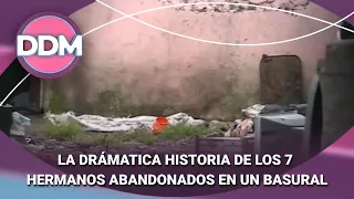 HISTORIA DE LOS 7 HERMANOS ABANDONADOS EN UN BASURAL + TINI #DDM | Programa completo (11/09/26)