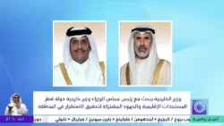 The Foreign Minister discusses regional developments with the Prime Minister and Foreign Minister...