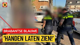 Woman threatens neighbor with knife | Brabant Blue