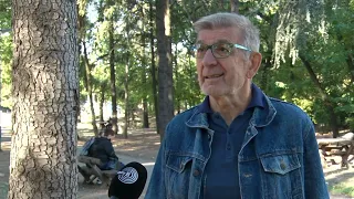 BEOGRADE DOBRO JUTRO -- Nedeljko Todorović