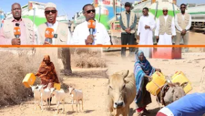 Датская женская ассоциация направила в регион Хауд автоцистерны с водой в экстренном порядке.