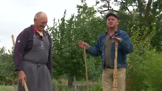 Uncle Vasa from Rafeș in Beregsău: In Banat, horseradish is called "tormac" #BanatDialect @TVRTM