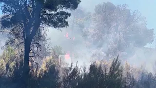 13 vatra zjarri, 7 ende aktive, 424 forca operacionale të angazhuara në të gjitha zonat problematike