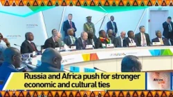 Russia and Africa push for stronger economic and cultural ties