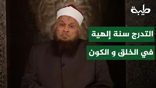 Gradualism: A Divine Law of Creation and the Universe — Dr. Mohamed Yousri