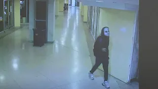 Timeline released as police search for masked suspect accused of terrorizing residents