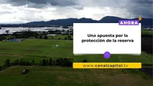 El Distrito busca comprar predios privados en la Reserva Van der Hammen | MedioAmbiente
