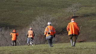 Orléans : procès d'Olivier Bouygues pour chasse illégale d'espèces protégées