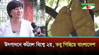 Jackfruit's economic potential is going to waste due to a limited export market