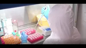 LABORATORIOS 2021: Capítulo 5, Laboratorio COVID