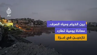 Harsh Life Inside the Tents: Sewage, Insects, and Rodents Plague Displaced People in Gaza