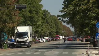 Nakon radova na infrastrukturi, obnova vinkovačkih drvoreda