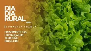 The Growth of Vegetables in Brazilian Territory
