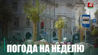 Погода на Гомельщине берет перерыв от дождей. Но только до выходных