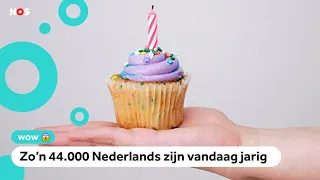 Hoera! Vandaag zijn de meeste mensen jarig