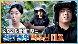 Have you tried these home-grown blueberries🫐? Meet 'Young Farmer Baek Su-shin', growing the summe...