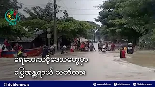 ရေဘေးသင့်ဒေသတွေမှာ မြွေအန္တရာယ် သတိထားဖို့ နှိုးဆော် - DVB News