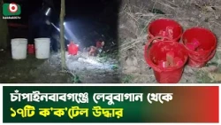 চাঁপাইনবাবগঞ্জে লেবুবাগান থেকে ১৭টি ক'ক'টেল উদ্ধার | Chapainawabganj | Police Operation | News