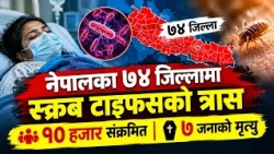 नेपालका ७४ जिल्लामा स्क्रब टाइफसको त्रास, १० हजार संक्रमित, ७ जनाको मृत्यु || News Report