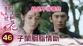 明知兩族有深仇大恨 卻還是情不自禁地愛上她 終究是不得善終【三生三世十里桃花】精華 EP46-5 楊冪、趙又廷、迪麗熱巴、高偉光、張智堯 @ctvdrama_classic