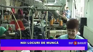 Noi locuri de muncă
