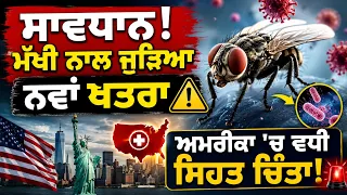 ਸਾਵਧਾਨ! ਟਿੱਕ (ਕਿੜੀ) ਤੋਂ ਫੈਲਣ ਵਾਲੀ ਬਿਮਾਰੀ ਦਾ ਨਵਾਂ ਖਤਰਾ, ਅਮਰੀਕਾ 'ਚ ਵਧੀ ਸਿਹਤ ਚਿੰਤਾ!