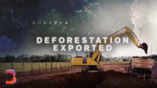 The Deal That May Reshape the Amazon’s Future