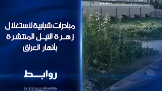 مبادرات شبابية لاستغلال زهرة النيل المنتشرة في أنهار العراق