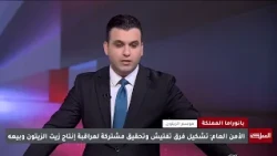 حالات الغش الفردية لا تؤثر على سمعة وجودة زيت الزيتون في ال