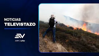 Casitagua Hill recovery could take 50 to 100 years after the fire | Televistazo