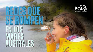 Somos Polo 2026: How does the Patagonian underwater food web work?