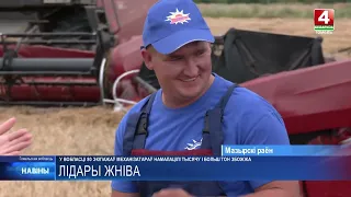 На Гомельщине 80 экипажей механизаторов намолотили 1 000 и более тонн зерна