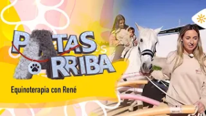 Patas arriba |  Equinoterapia con René, un bebé con síndrome de Down