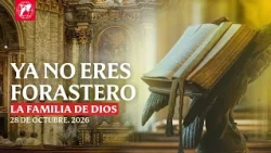 Readings and homily - 2026-10-28 - Fr. Patrick