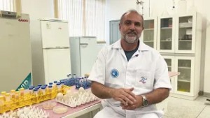 Produção de ovos em SP cresceu 7% e registrou faturamento bilionário em 2025