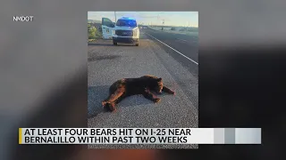 At least four bears hit on I-25 near Bernalillo withing past two weeks