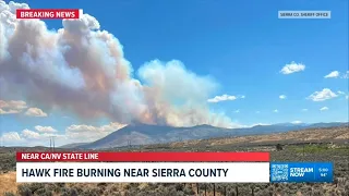 Hawk Fire grows to 3,000 acres near Verdi as Sierra County residents warned to prepare to leave