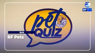 Daily Quiz