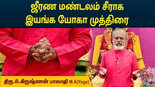 ஜீரண மண்டலம் சீராக இயங்க யோகா முத்திரை | Digestive Problem | Krishnan Balaji | MEGA TV