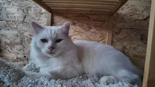 Zmeny počas leta v OZ MICIHOME