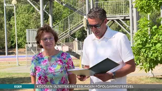 Közösen ültettek fát Esslingen főpolgármesterével - 2026.08.21.