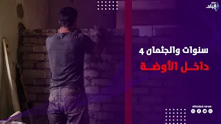 4 سنوات والجثمان داخل الأوضة   جيران متهم واقعة الزيتون «كنا فاكرين الريحة بسبب الـ15 قطة»