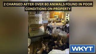 2 charged after over 80 animals found in poor conditions on property