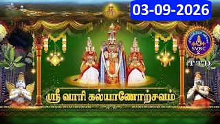 Srivari Kalyanotsavam || Tirumala || 03-09-2026 || SVBC2 Tamil  || SVBC TTD