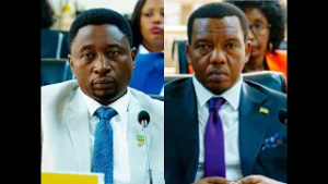 SENATERI FRANK HABINEZA YIGARAMYE IBYO GUKORANA NA RUSESABAGINA